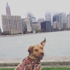 Meet your Posher, Sage